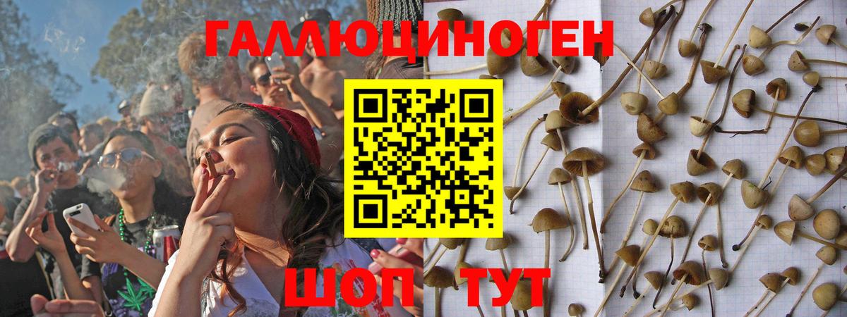 Балашиха  дарнет шоп  Вход с VPN  Галлюциногенные грибы GOLDEN TEACHER 